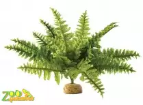 Растение Hagen подст.Boston Fern-small РТ2990