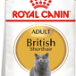 Royal Canin British сухой корм для британский кошек