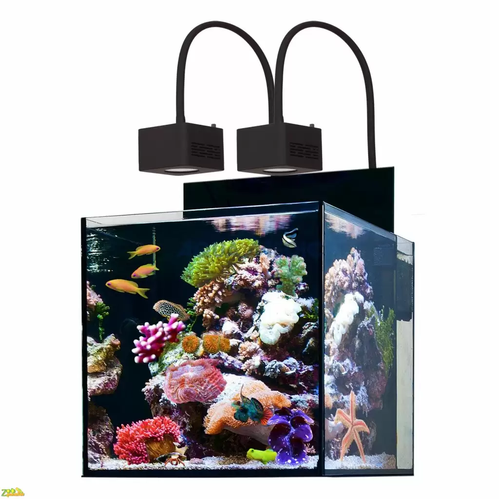 Морской аквариум Aqua Medic Cubicus Qube