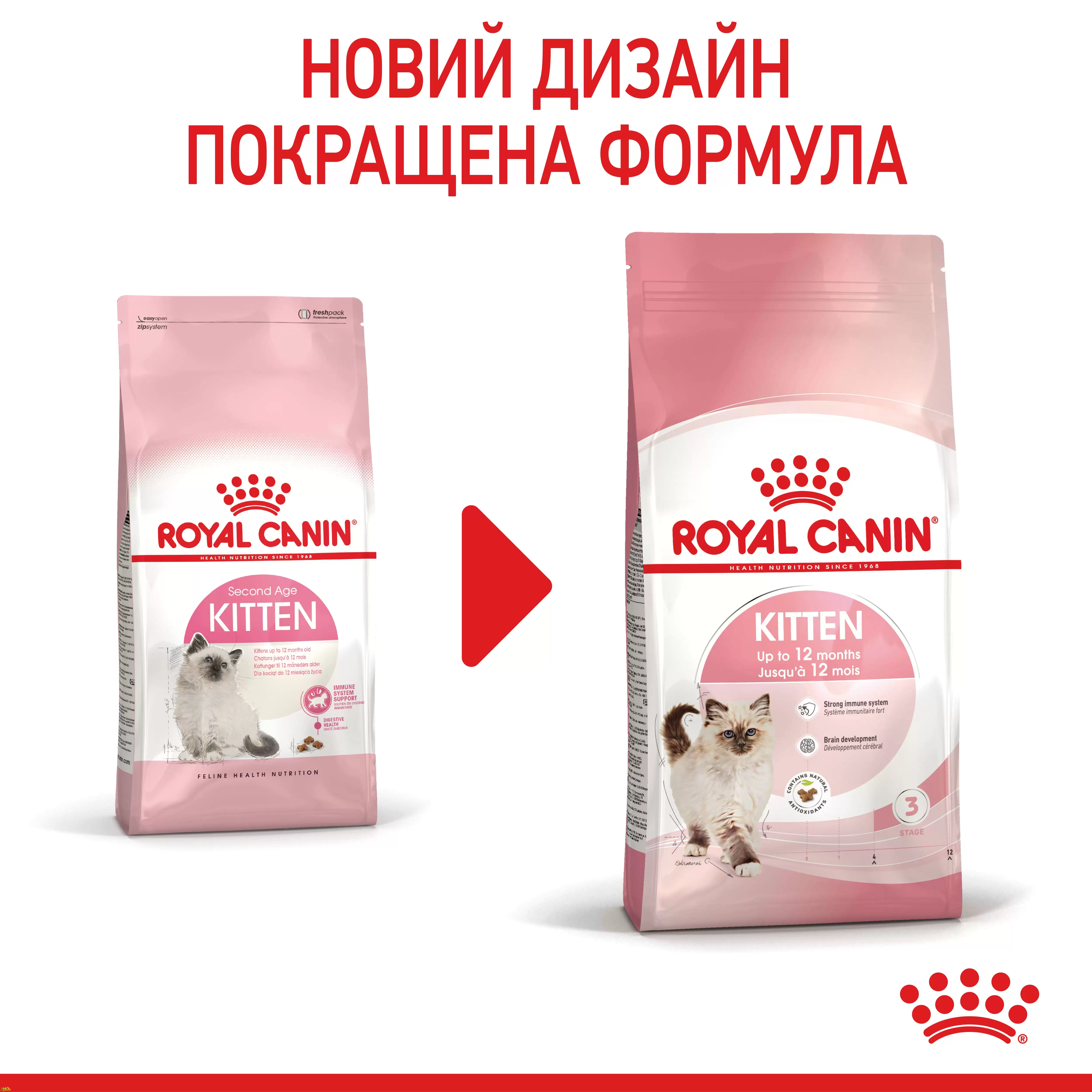 Royal Canin KITTEN 36 Сухий корм для кошенят с 4 до 12 місяців