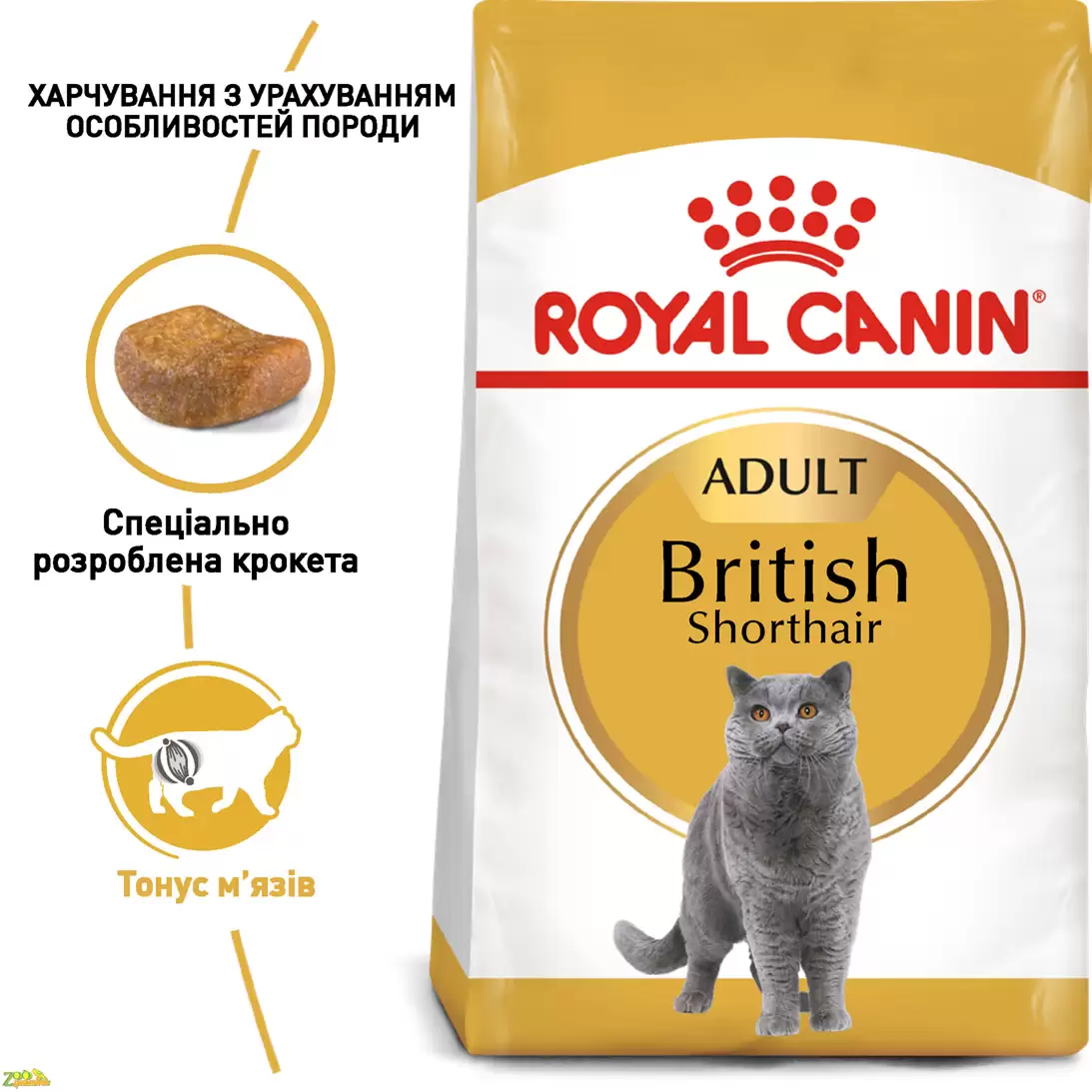 Royal Canin British shorthair корм для дорослих кішок породи британська короткошерста.