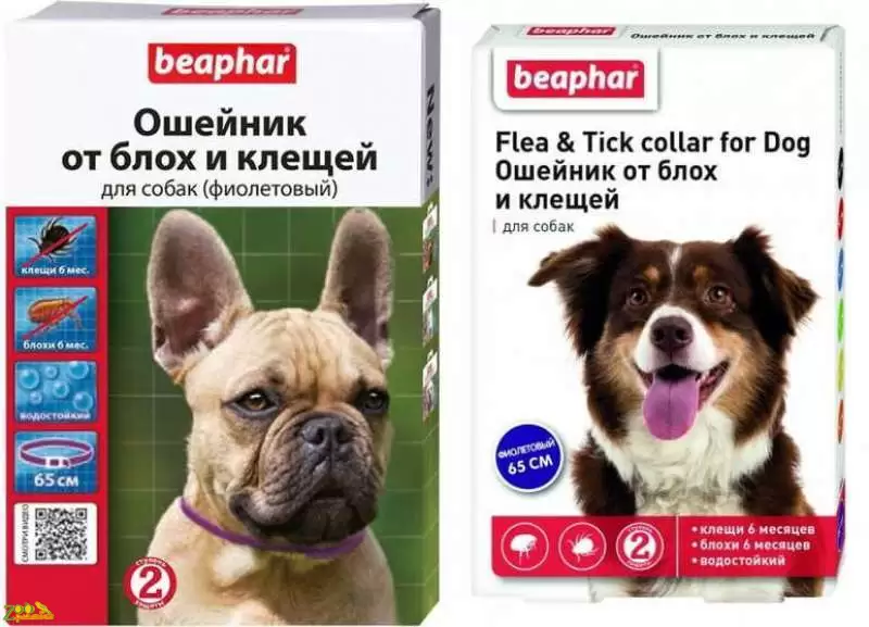 Ошейник для собак от блох и клещей Фиолетовый Beaphar 65см арт.10198