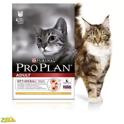 Proplan adult outlet salmon