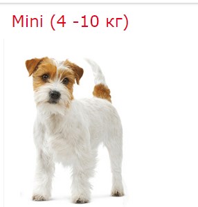 Mini (4-10 кг)